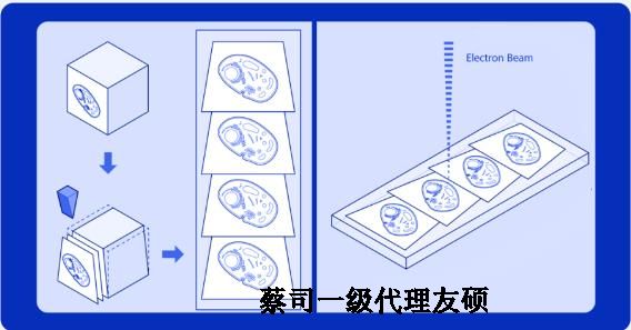 昌江蔡司昌江扫描电镜