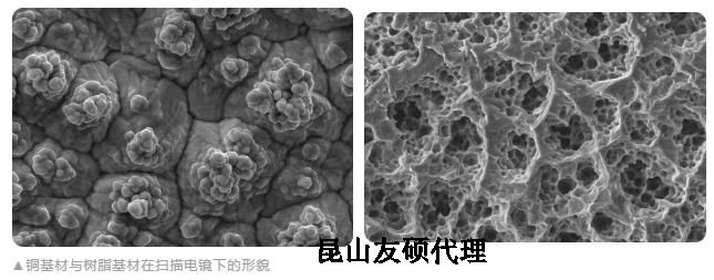 昌江蔡司昌江扫描电镜