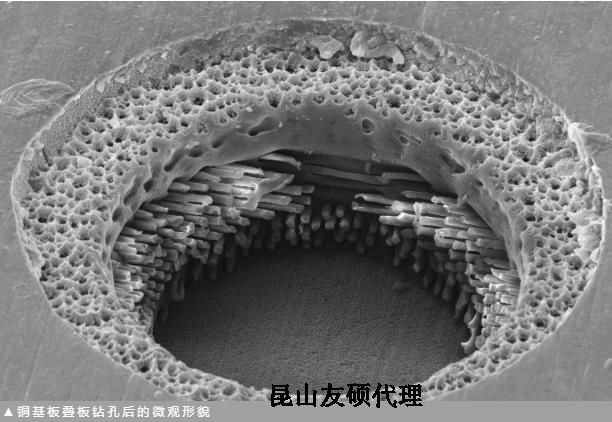 昌江蔡司昌江扫描电镜